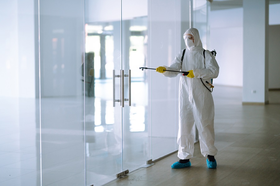 Real Homeowner Testimonials in Hawx Pest Control Reviews